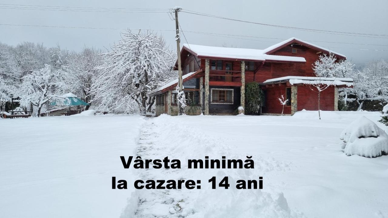 Casa Bunicului Villa Vistisoara Exterior photo