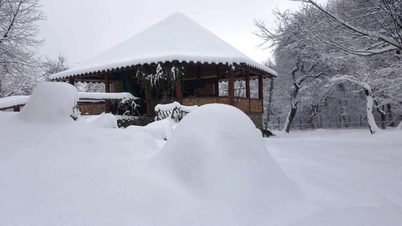Casa Bunicului Villa Vistisoara Exterior photo